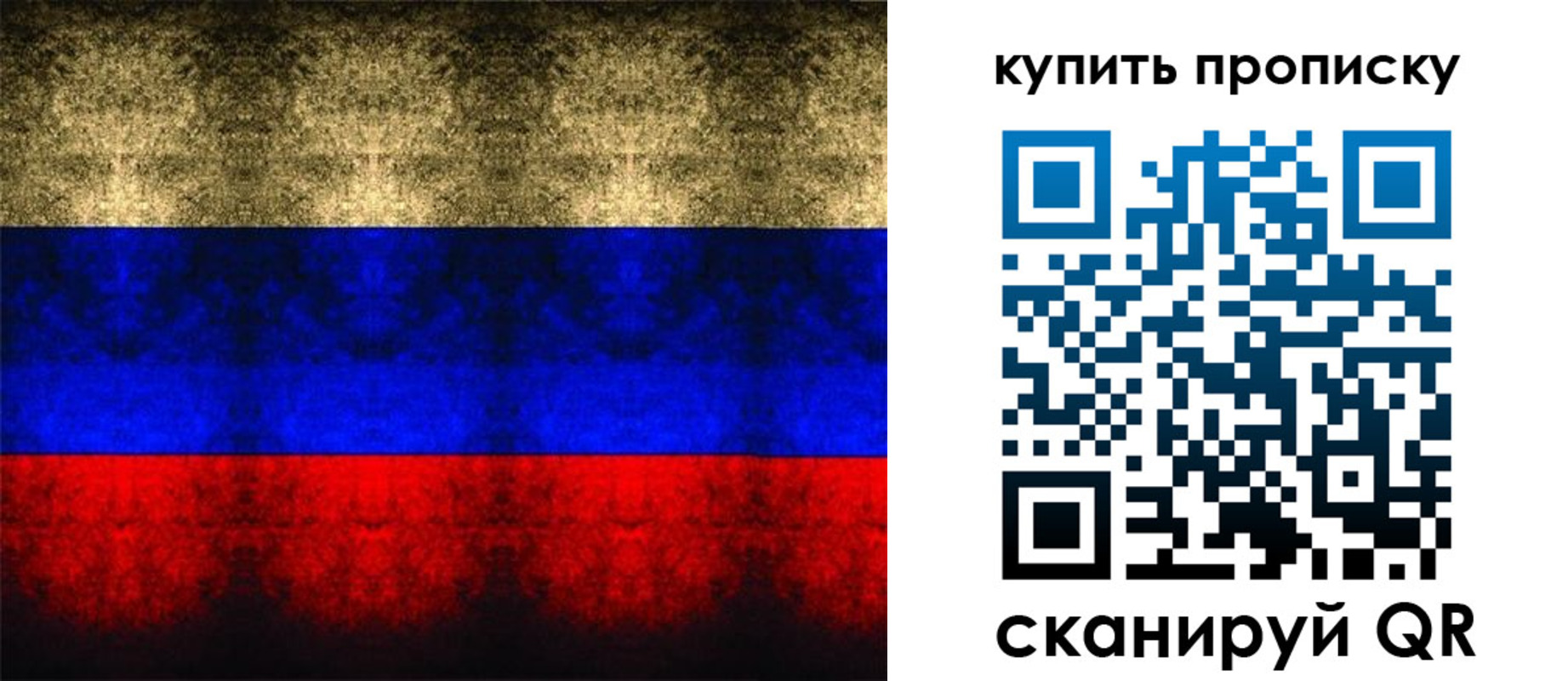 прописка в Елизово